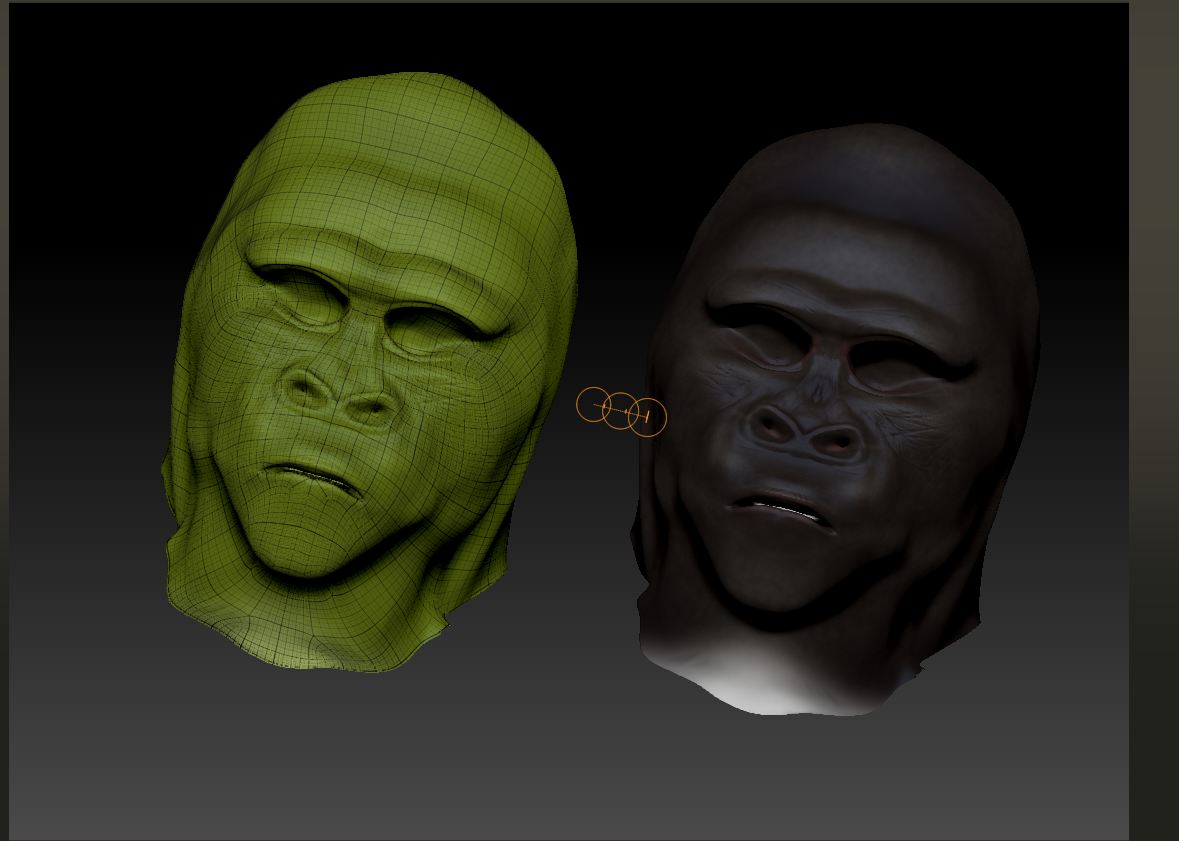 ape head.JPG