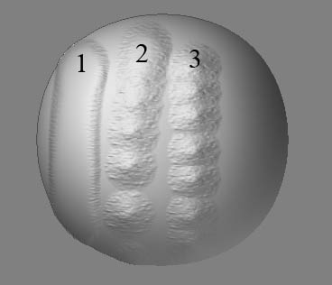 example.jpg
