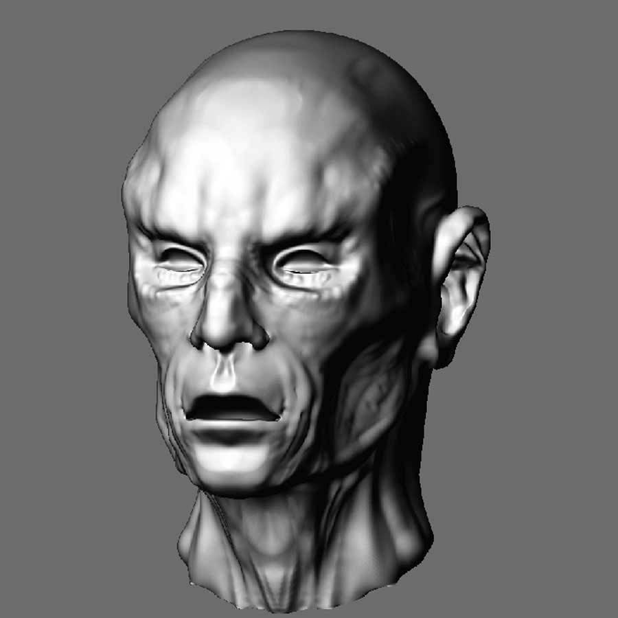 sculpt1.jpg