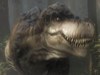 ZBC_THUMB.jpg