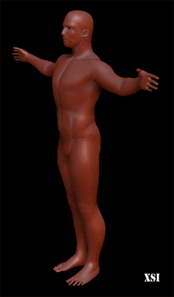 zpersp2.gif