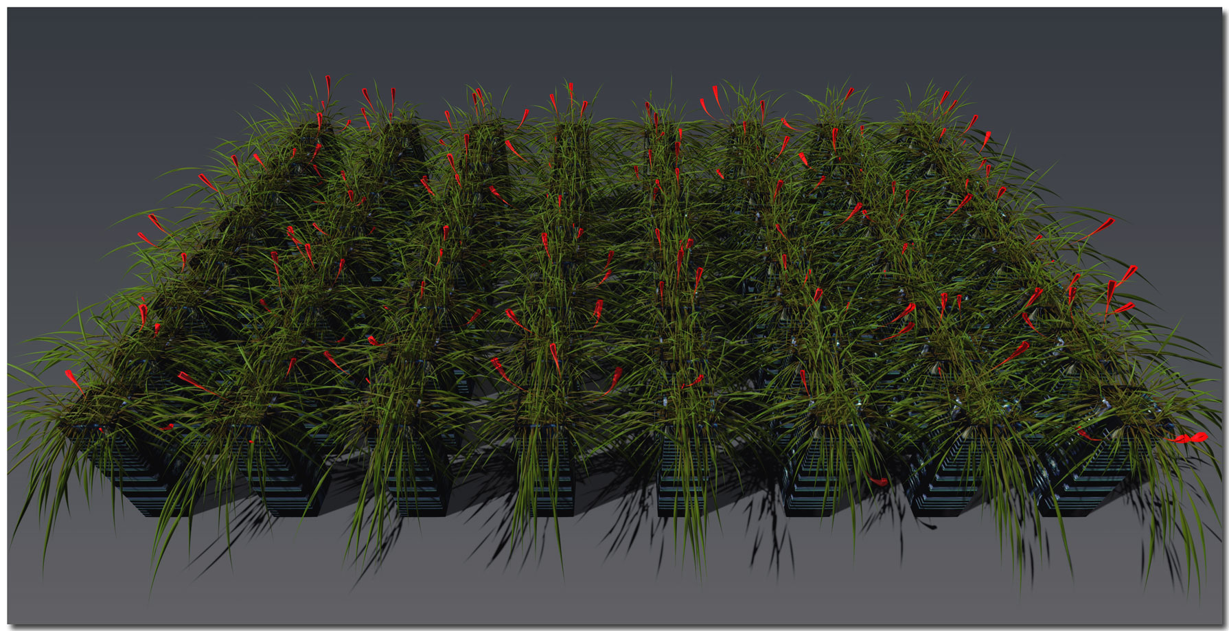 64-pots_of_Flowers.jpg