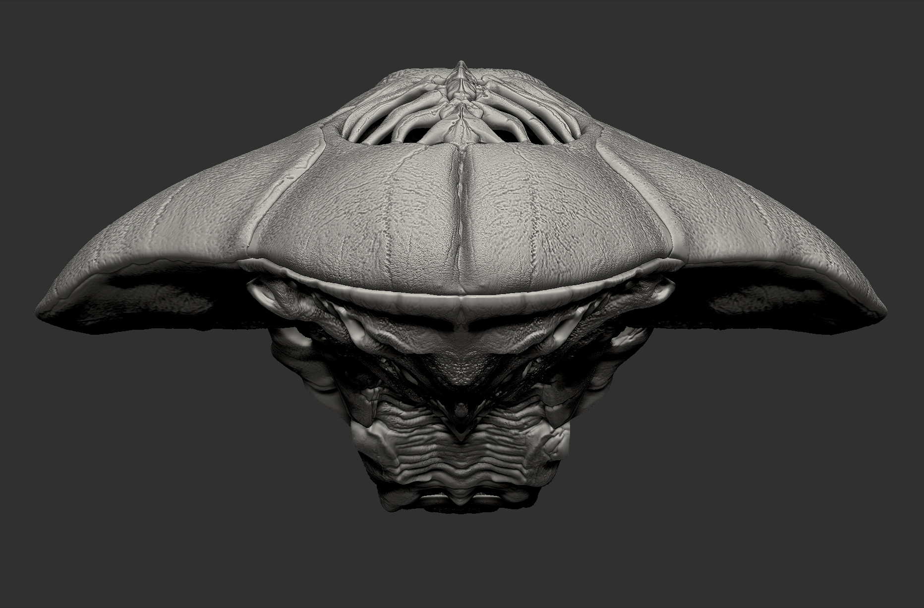 AlienSkull_BackView_DP.jpg