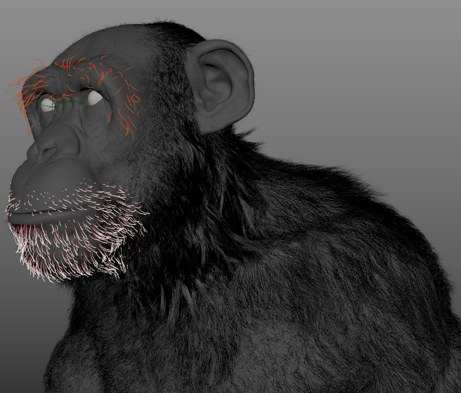 ChimpXGEN