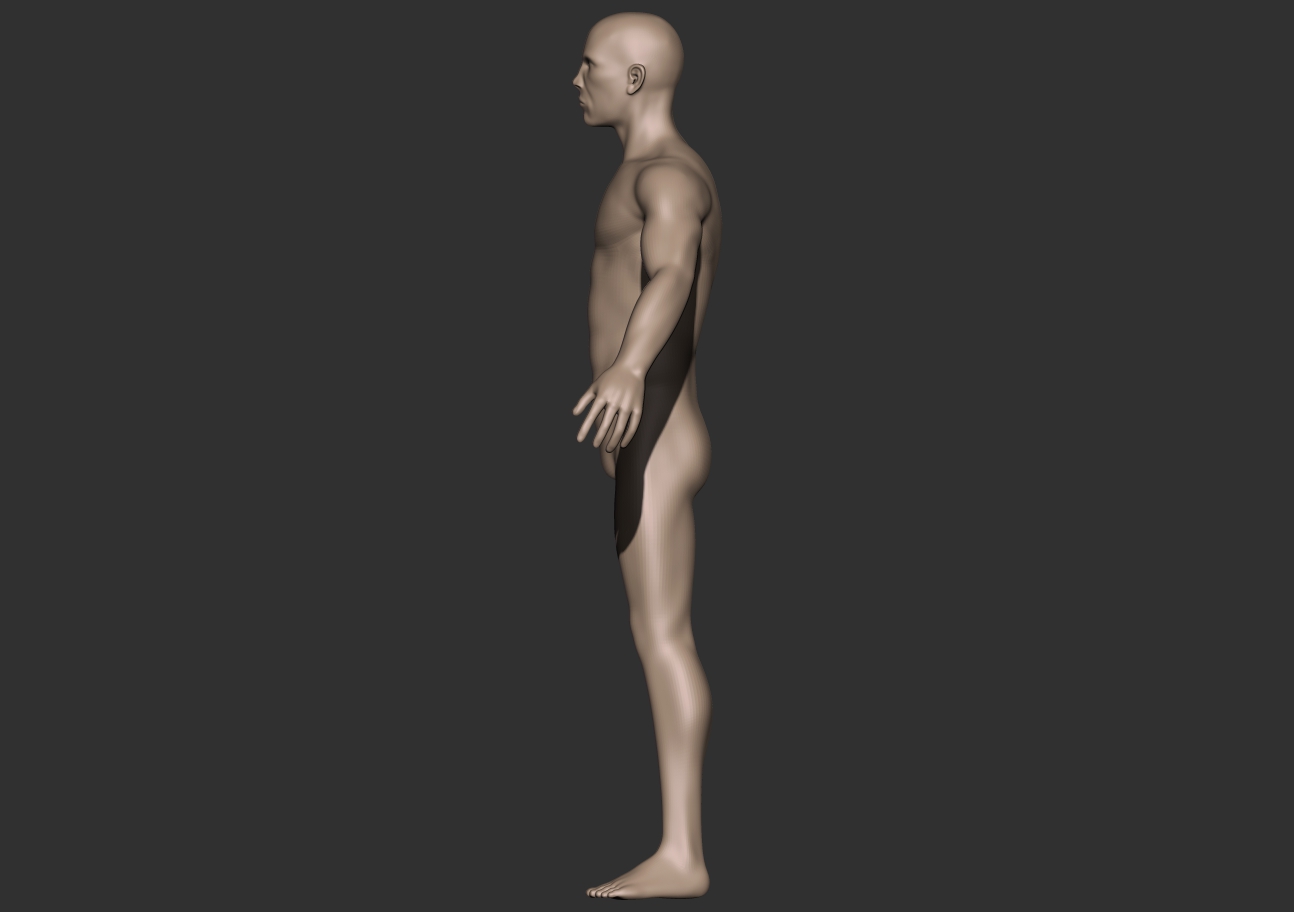 wrist render.jpg
