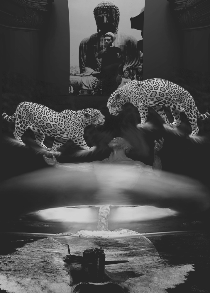 JAGUAR-POSTURES-6.jpg