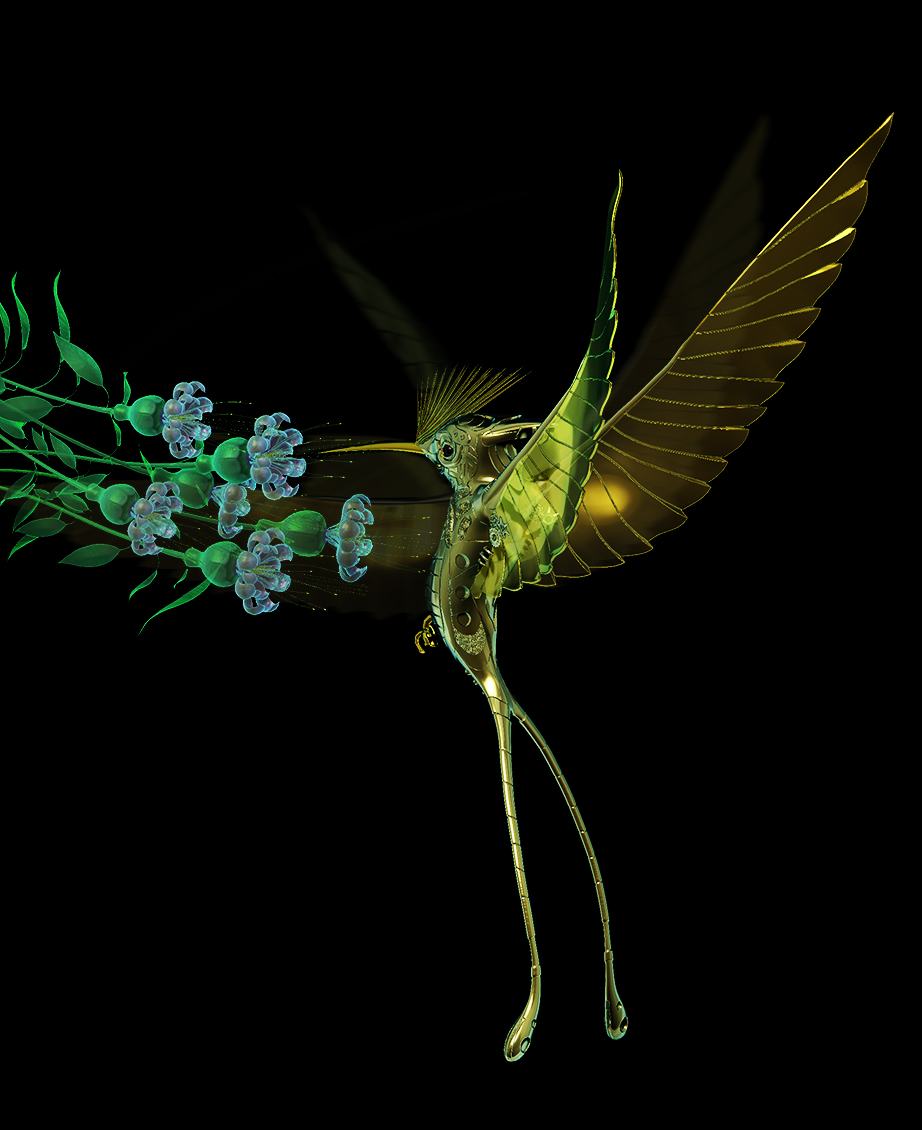 hum flower motion.jpg
