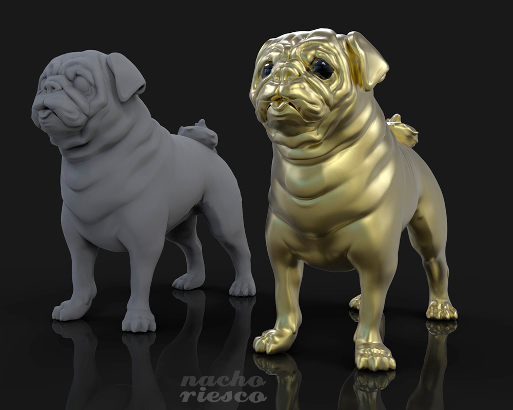 Pug.jpg