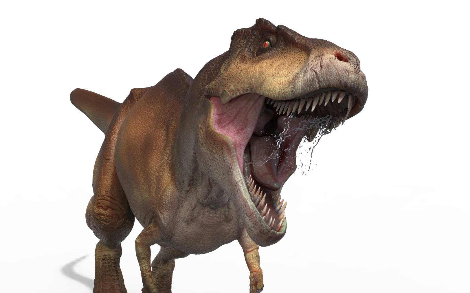 trexpose2.55.jpg