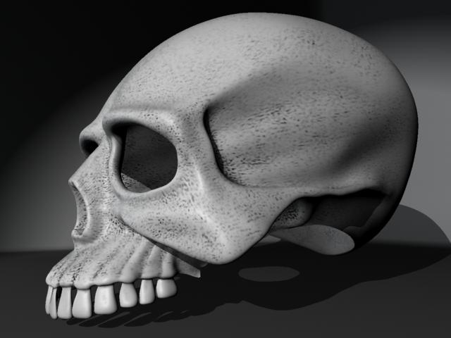 skull.jpg