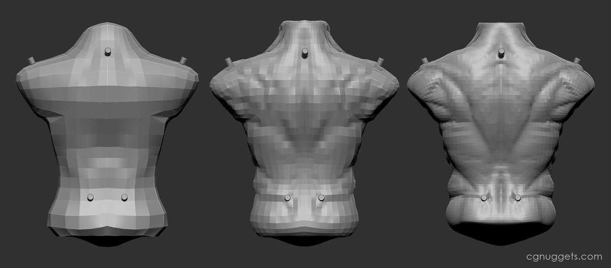 torso_back.jpg