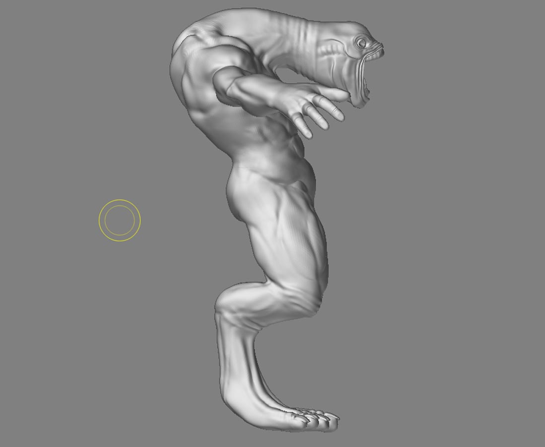 anatomyfin2.jpg