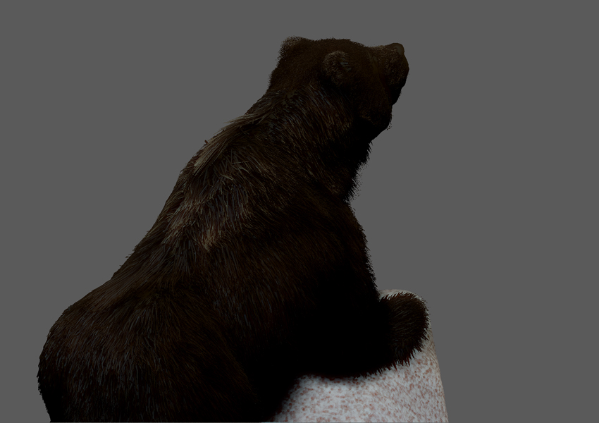 GRIZZLY FUR CLIFF 3.jpg