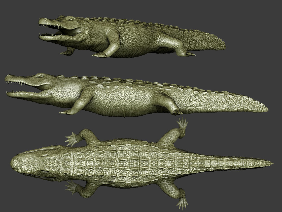 gator.jpg