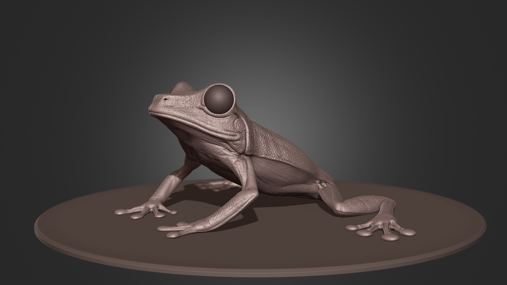 frog_01.jpg