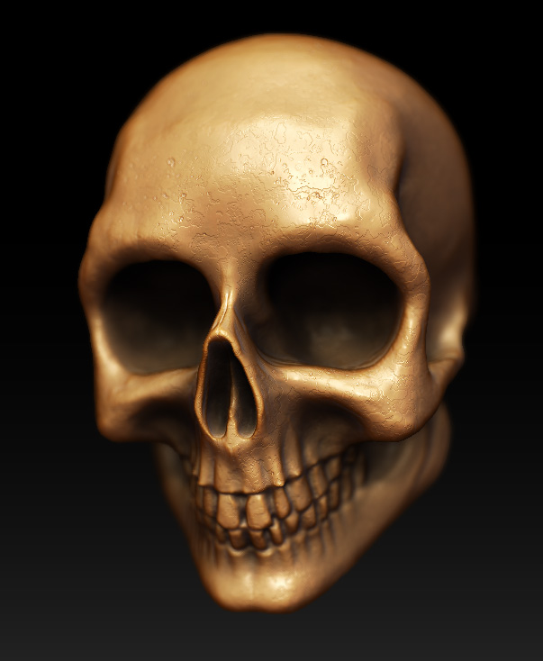 skull.jpg