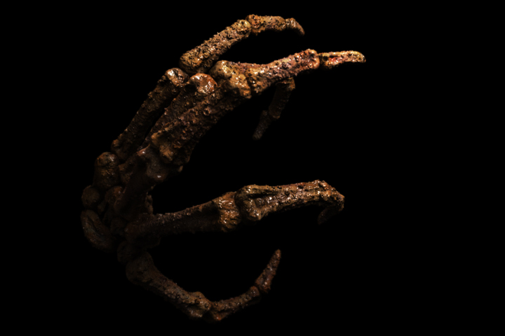 test-4.jpg