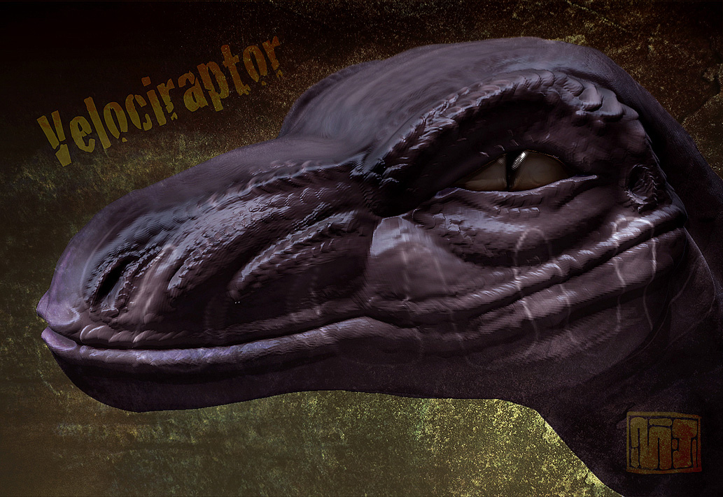 Raptor-4-(Sharpdened)-ZBC.jpg