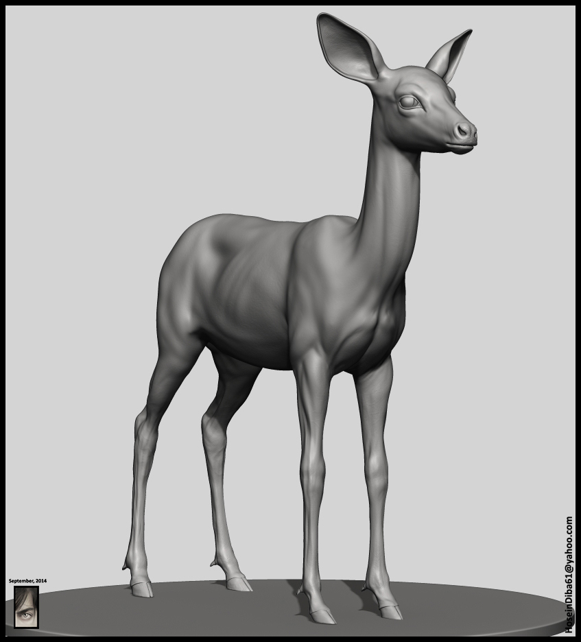 Fawn_Deer_10.jpg