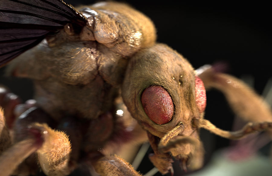 sphecomyrma_Render03.jpg