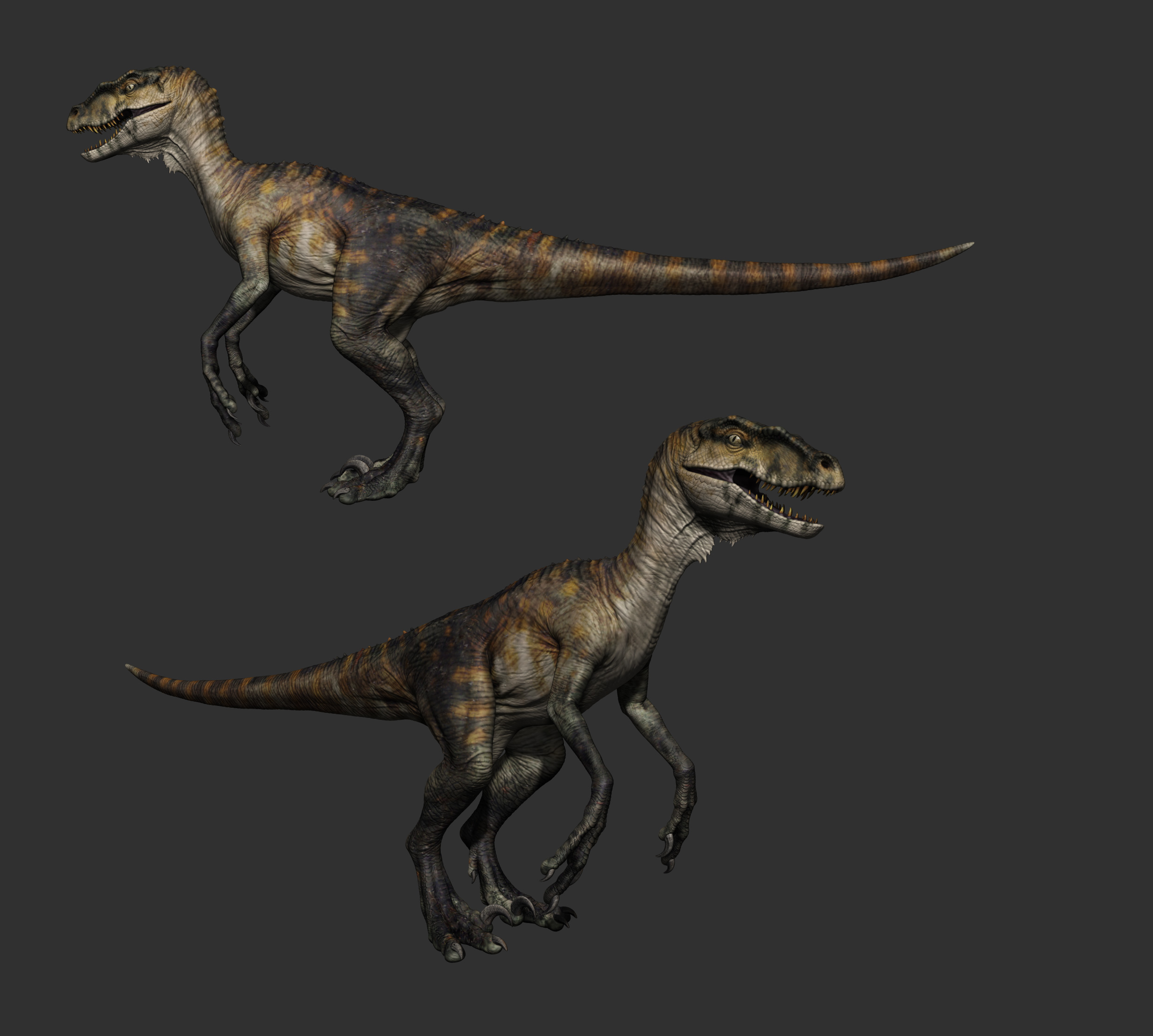 raptorzbcor.jpg