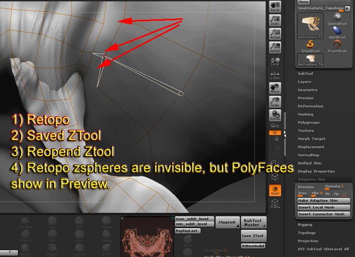 ZB31_TopoInvisible1.gif