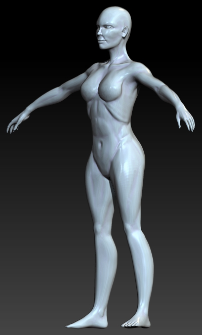 FEMALE ANATOMY retry23.jpg