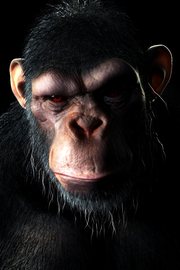 chimp1.jpg