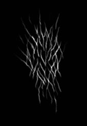 crosshatch alpha.jpg
