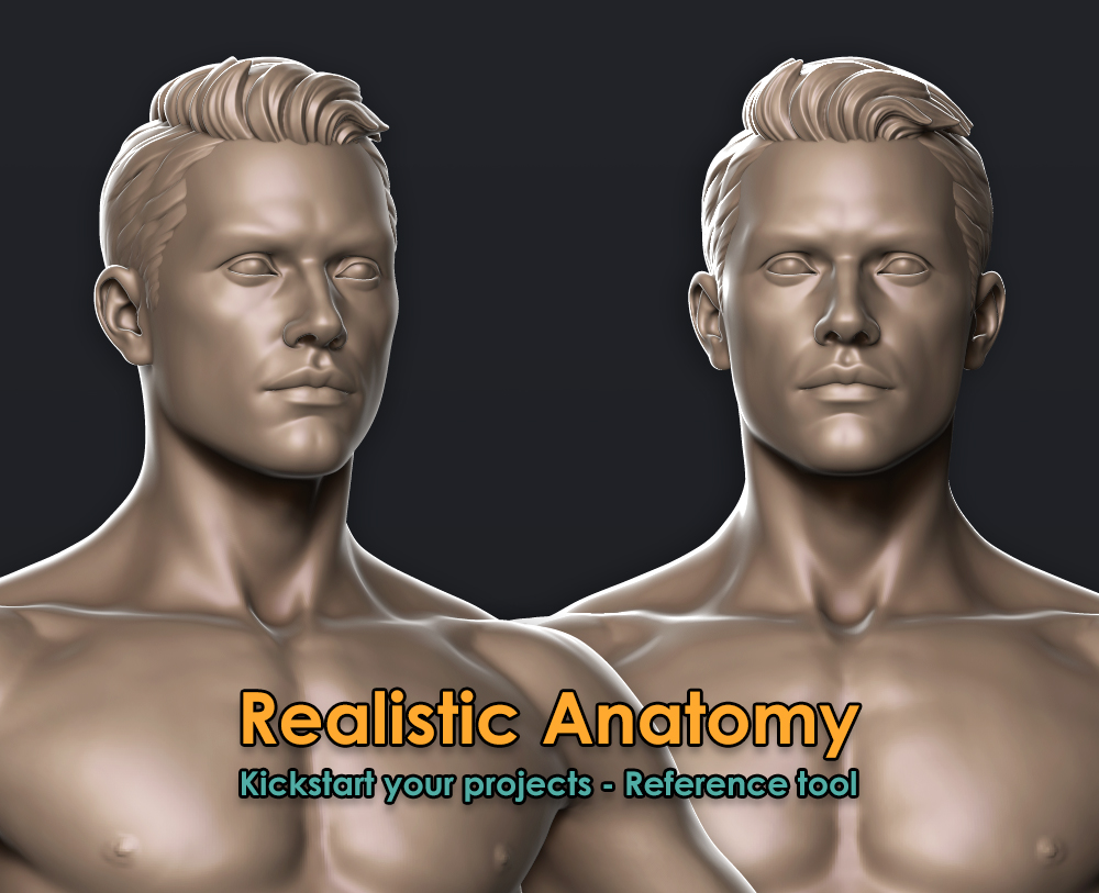 High_Head_Male.jpg