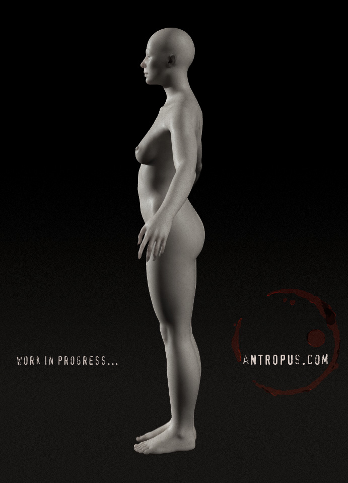 bodywip_003.jpg
