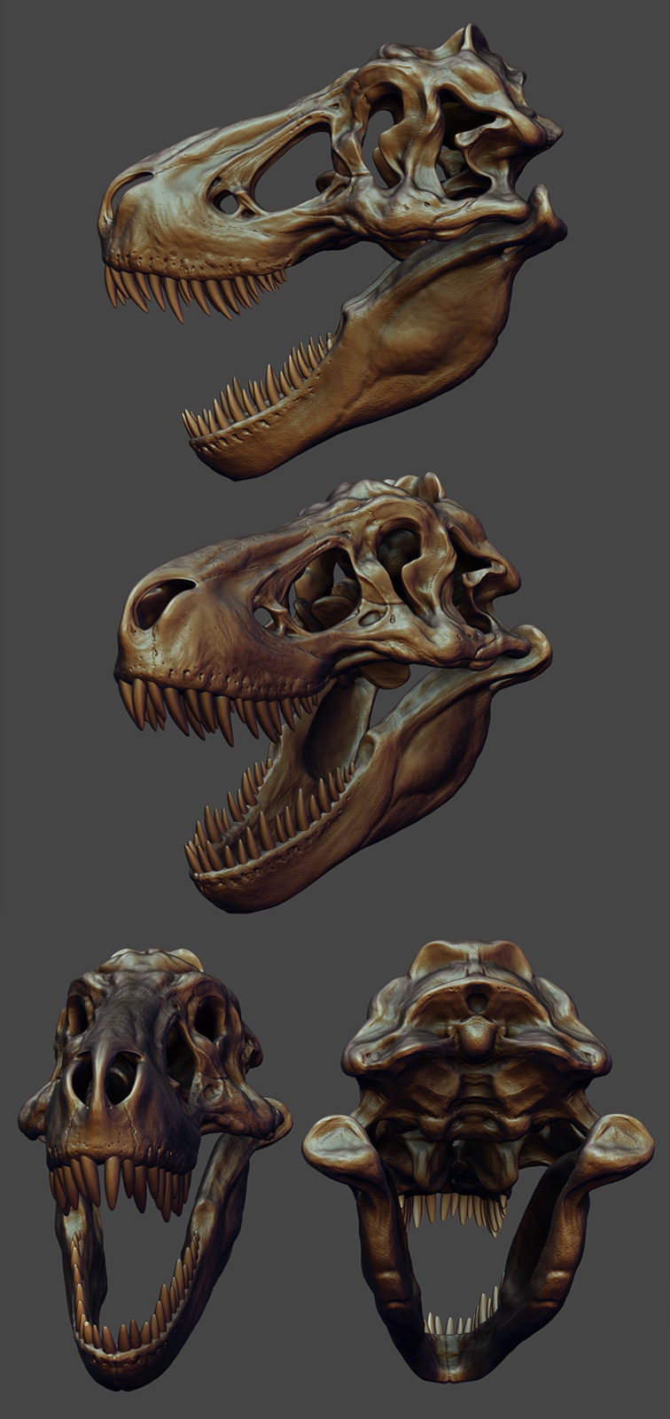 skull%20study%20001