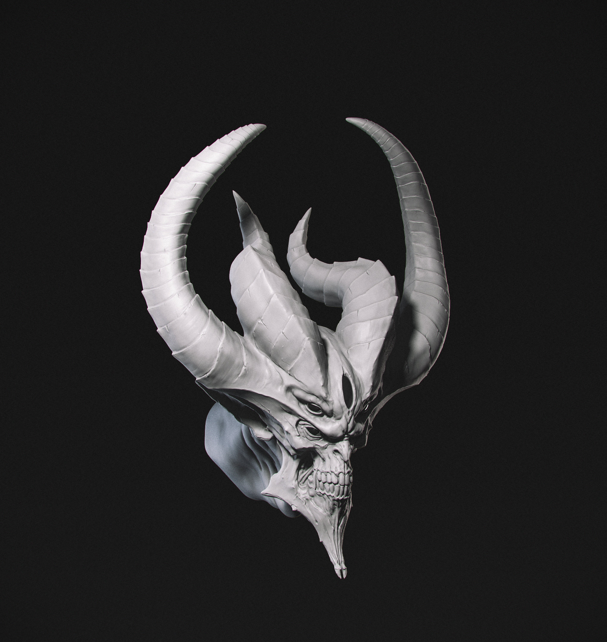 head_01.jpg