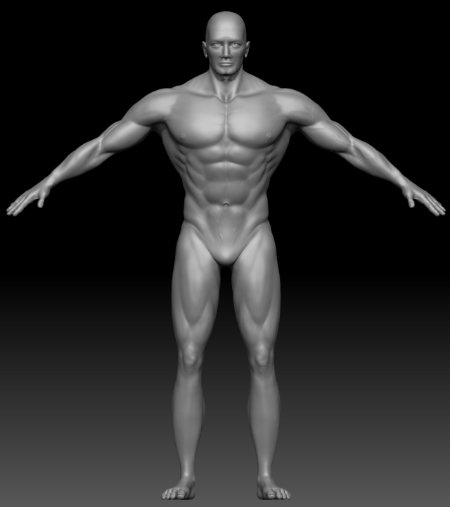 Front Flat.jpg