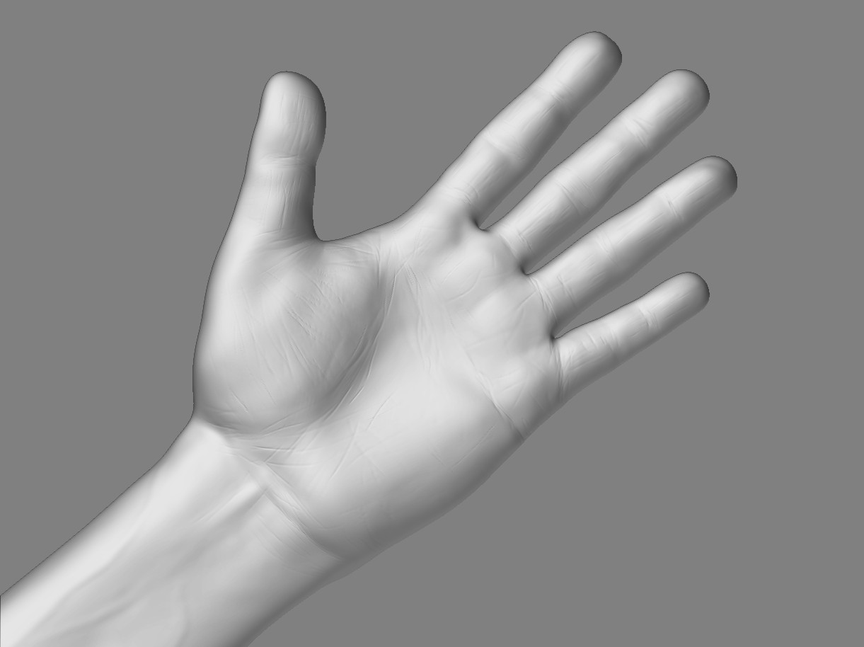 Hand_mesh_detail.jpg