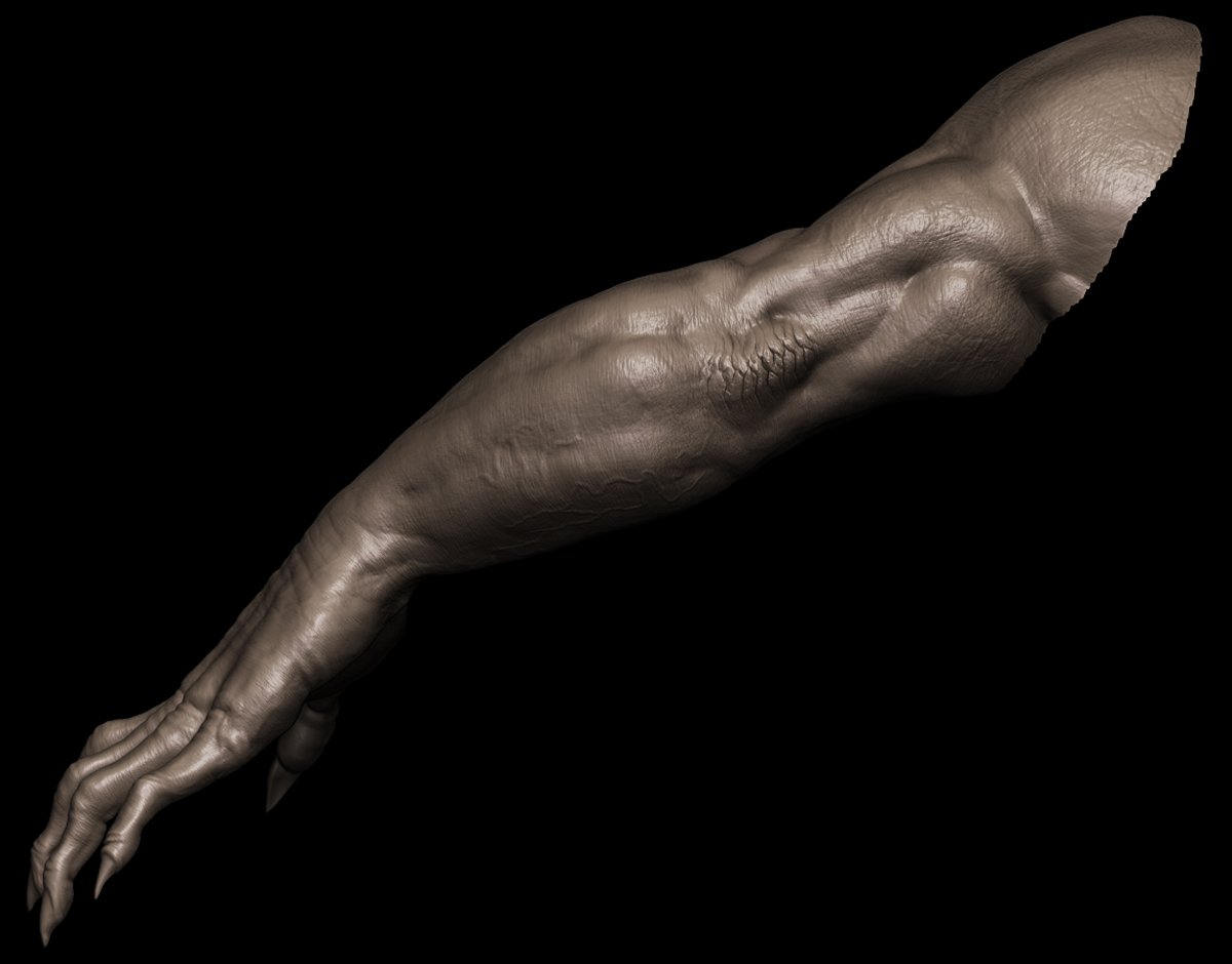 arms3.jpg