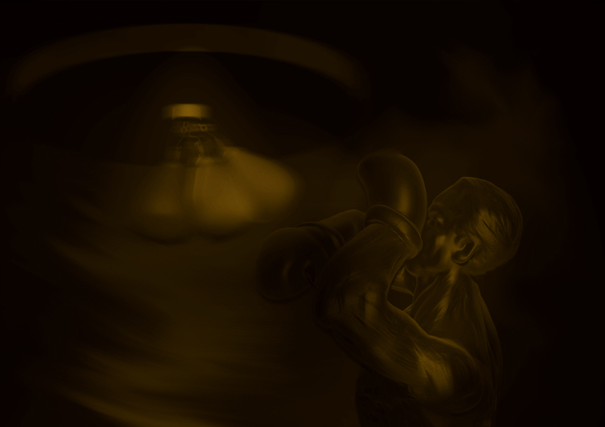 SPEED BAG BOXER 14.jpg