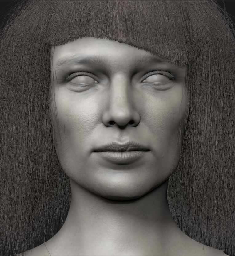 wip-1.jpg