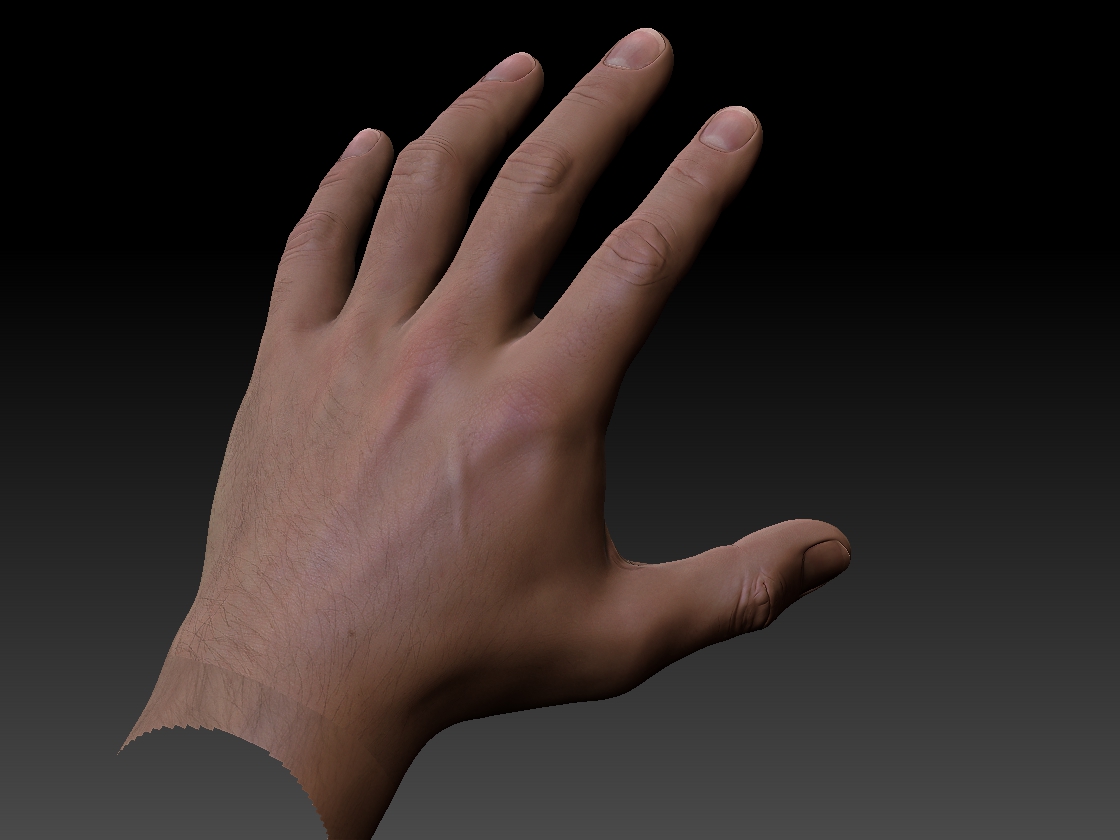 male_body_wip_118.jpg