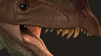 dinothumb.jpg