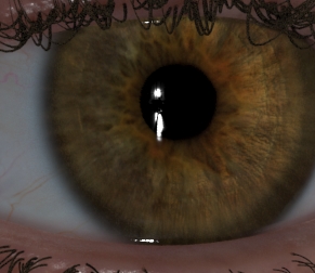 eye render 0979.jpg