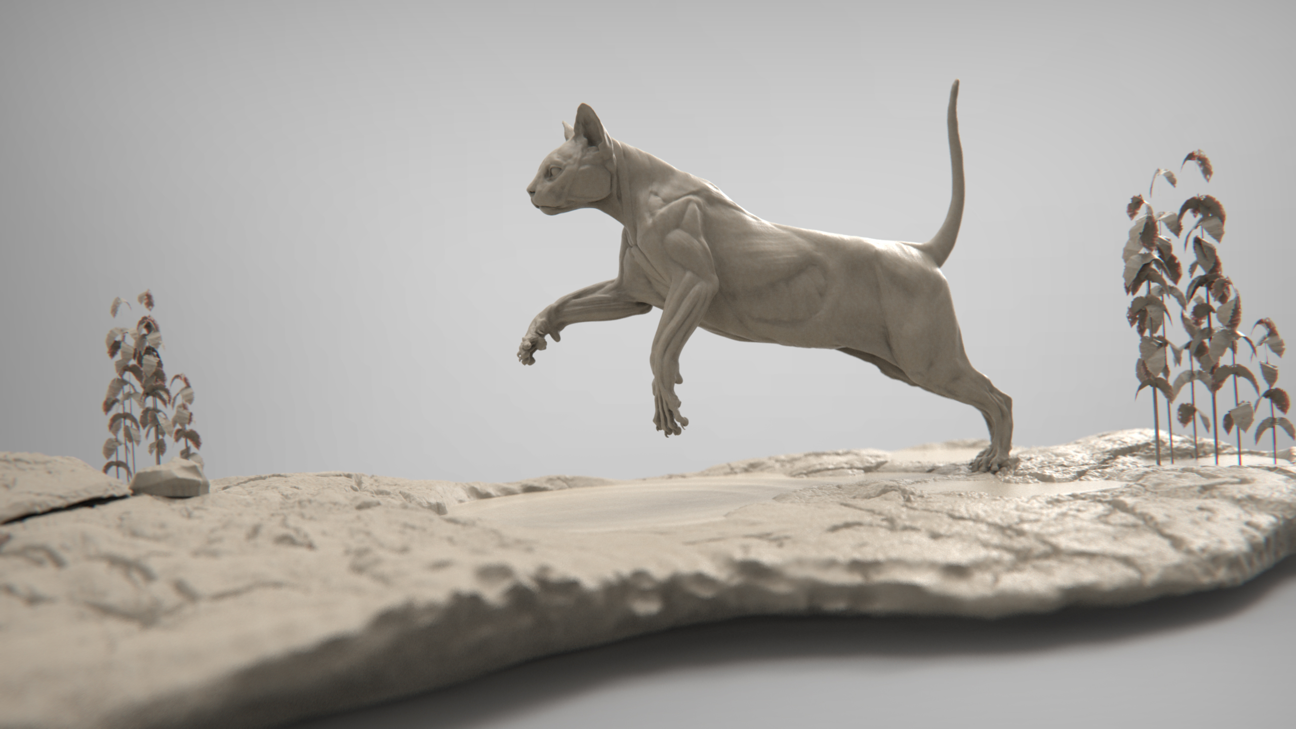 MarcusTrolldenier_SculptingAnatomy_week4_domestic_cat_05.jpg