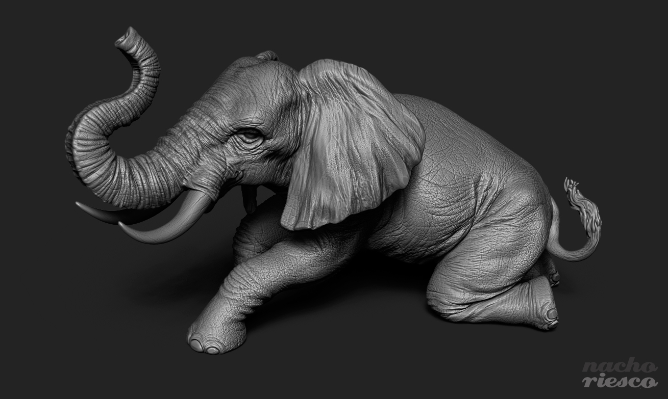 Elephant3D_4.jpg