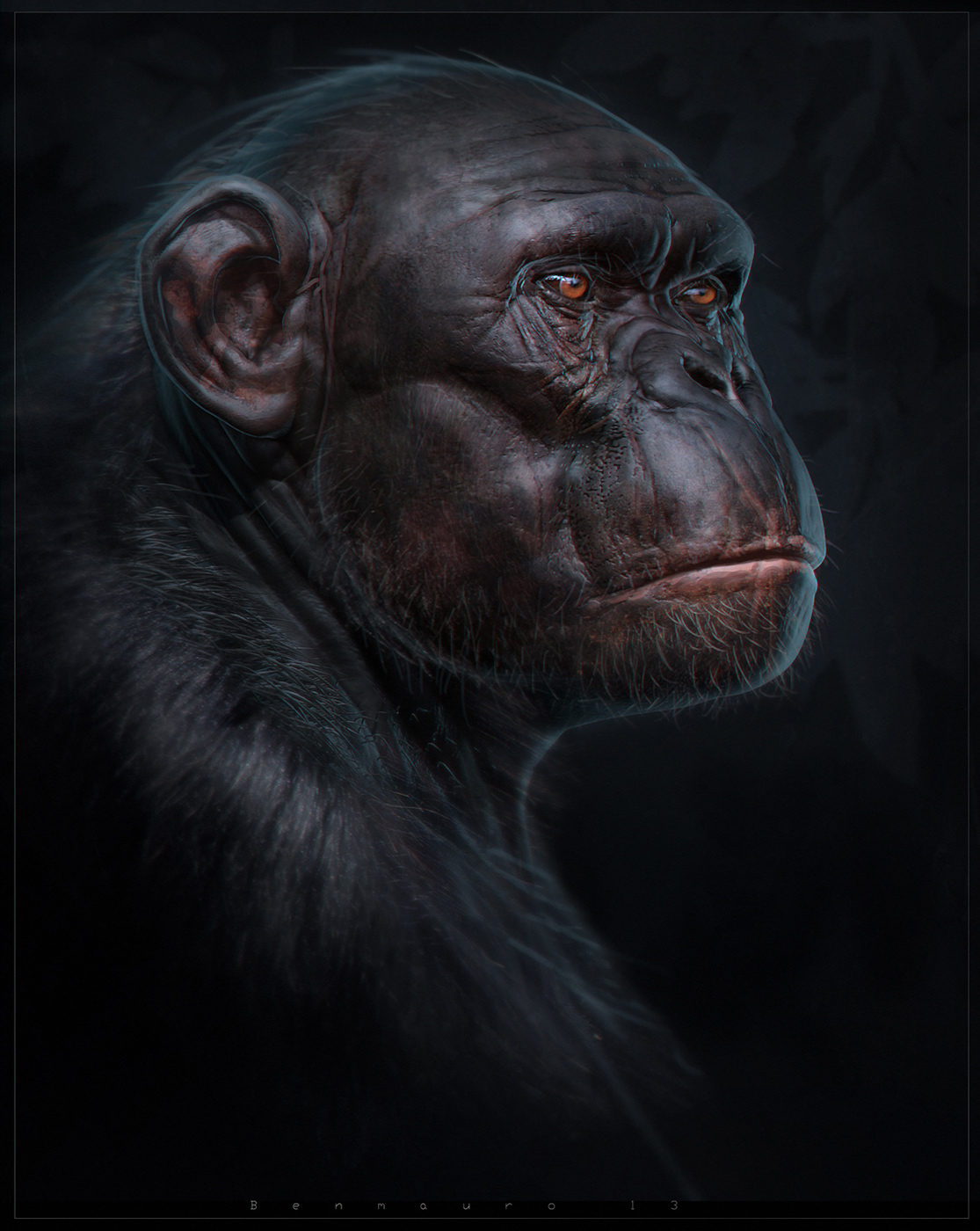 BenMauro_ChimptutorialS.jpg