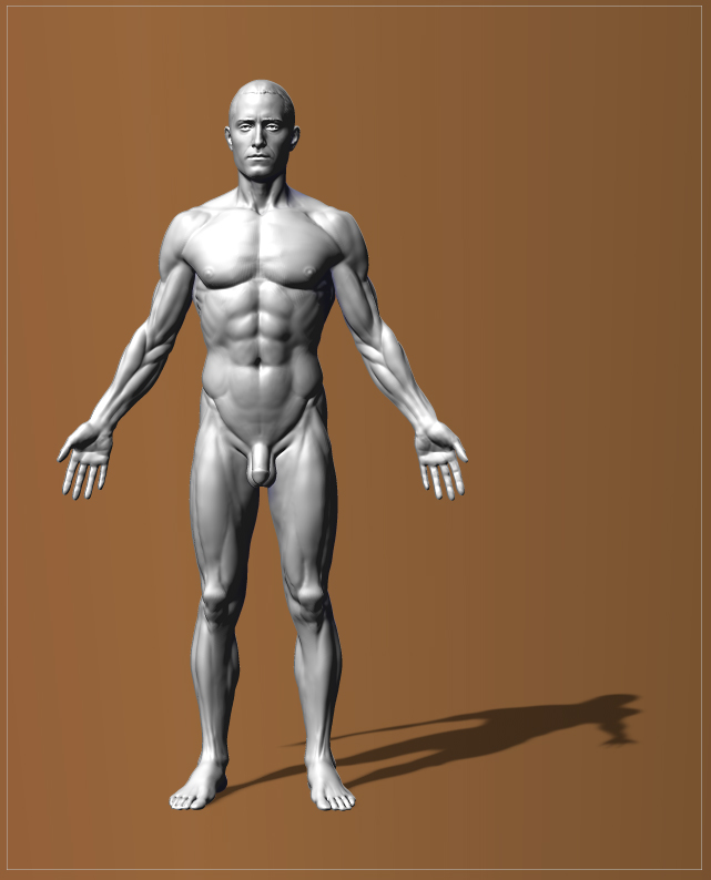 anatomyman2.jpg