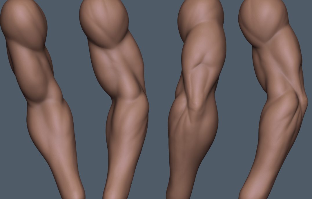 arm_study.jpg