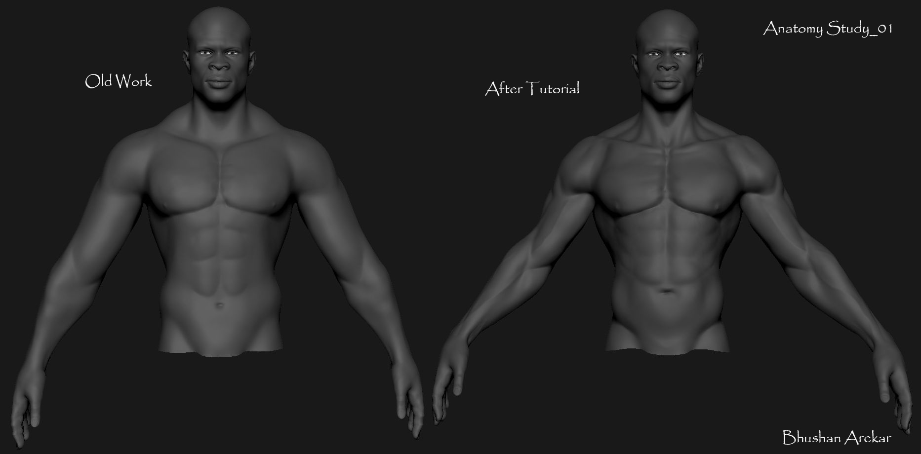 Anatomy Study_01b.jpg