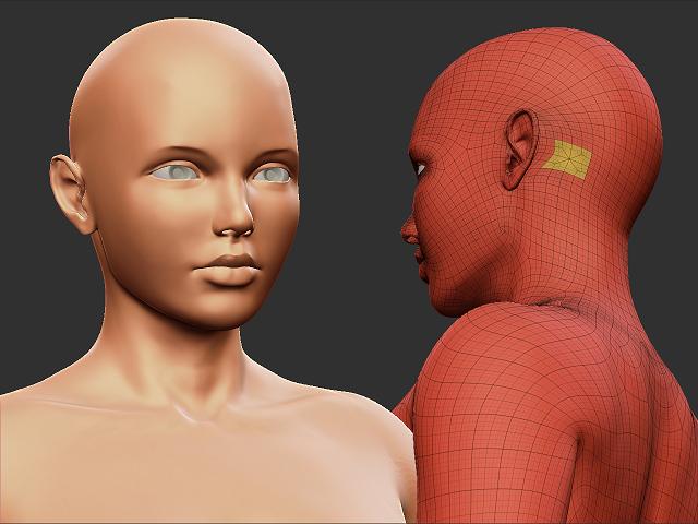f_figure_02.JPG