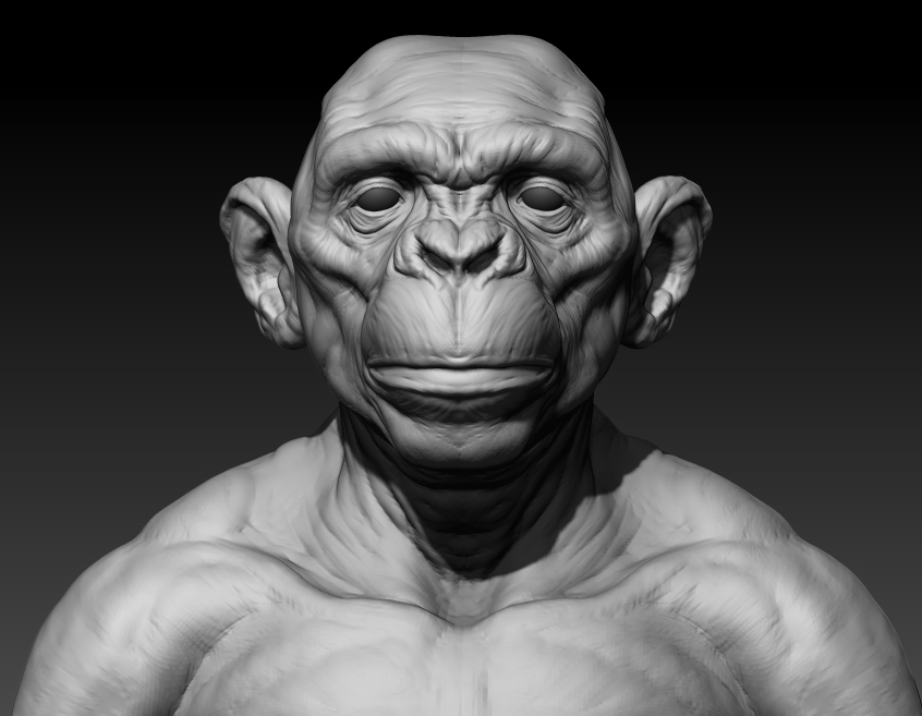 chimp.jpg
