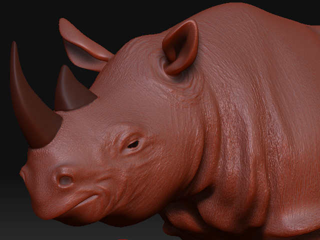 rhino.jpg